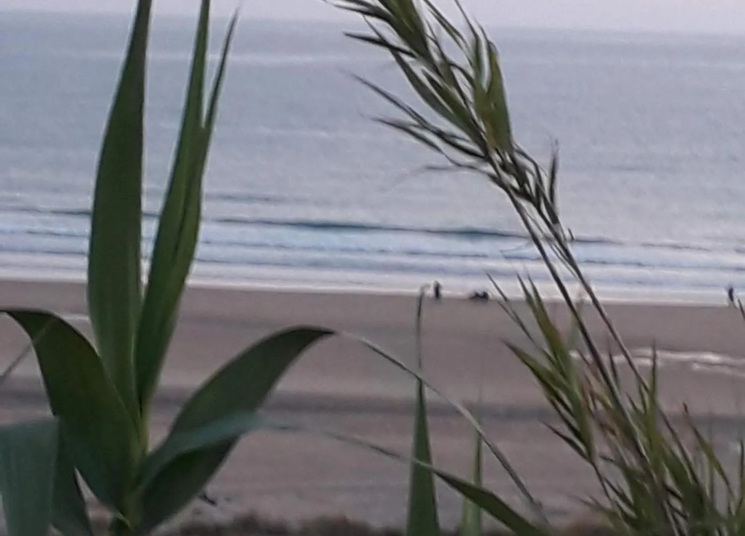 Jana Apartment Conil De La Frontera